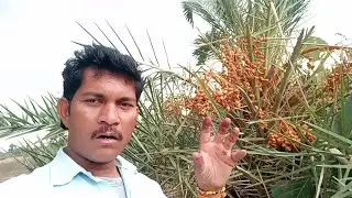 Tera Mera sath hai sadiyo puramo 🌹🌺💗🌿🌱💖🌿🌺🌺💗💗🌿