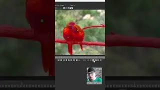 Как быстро сделать маску Premiere pro используя плагин Boris FX Mocha Pro 2025 Туториал