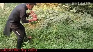Crazy boys dancing on dangerous beat.