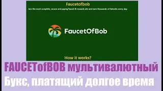 FAUCETofBOB мультивалютный Букс, платящий долгое время