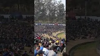 Nepali fan crowd at TU cricket game