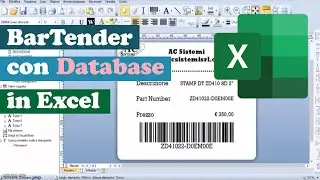 BarTender con database in Excel