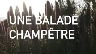 Visualisation guid&eacute;e relaxante - Une balade champ&ecirc;tre ⟡ Ginkgo