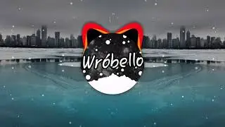 fejk & ctrsk - Right And Wrong (ft. Junior Paes) (Wr&oacute;bello Mashup)