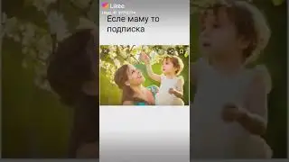 27 ноября 2019 г.