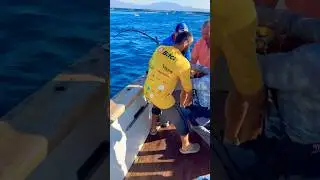🎣 НА КАРАСЯ ВЧЕТВЕРОМ | FISHING IN DUBAI #shorts #crazy #fun #art #viralvideo #trending #travel