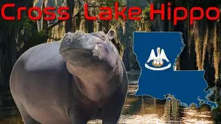 The Wild Story of the Cross Lake Monster