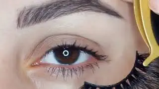 How to apply false eyelashes, THE EASY WAY! LASHAHOLIC/MYLASHXO