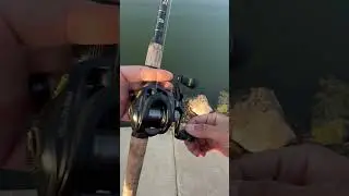 Lew&rsquo;s Reactor Speed Spool Thoughts #lewsfishing #newcontentcreator