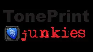 TonePrint Junkies #4 : TC Electronic Flashback mini delay & TC Electronic Shaker vibrato