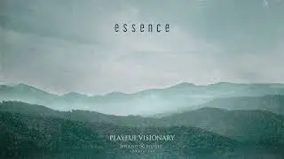 Brand X Music - Playful Visionary - Essence (2022)