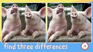 Find Three Differences--FUNNY ANIMALS--#30