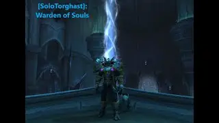 [SoloTorghast] Warden of Souls Mort'regar Solo Protection Paladin POV