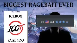 The Craziest VLR.GG Thread Ever (m4)