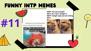 INTP Meme Collection #11 | Funny MBTI Memes