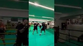 🥊 провокация и встречный удар #boxing#бокс#box