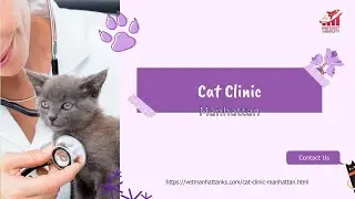Cat Clinic Manhattan