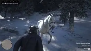 Red Dead Redemption 2 - White Arabian Horse