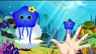 Shapes Jelly Fish Animals Boys Finger Family Little Baby Bum