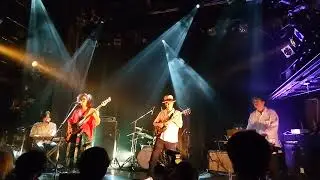 sugar plant / 20240615@渋谷WWW