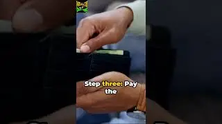 The Family Bank Blueprint: Nurturing Your Financial Legacy