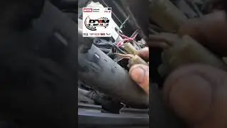 MIO I 125 AYAW UMANDAR WALANG KURYENTE
