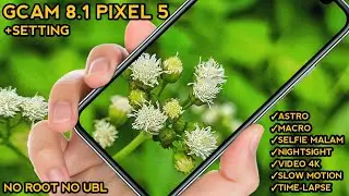 Terbaru!! Gcam 8.1 Pixel 5 DMGC + Setting | Gcam The Dise