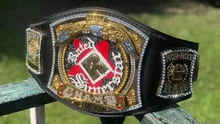 WWE Rated R Spinner Review!