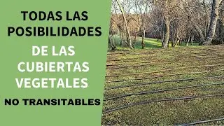 Configura tu propia cubierta vegetal no transitables