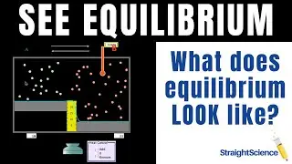 How to Visualize Equilibrium - Using the PhET on Reversible Reactions