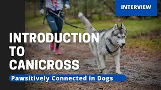 Introduction to Canicross: A Dog-Powered Sport