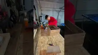 DIY - Creating a dog toy box out of free pallets. #pallet #diy #atx #build