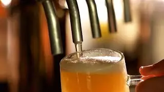 Brews on the Boulevard | City of Carmel, Indiana