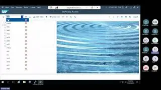 Коды транзакций SAP класса 17: ST01, ST02, ST03n, DBACOCKPIT