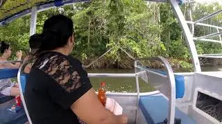 Daintree River (Crocodile) Cruise - Queensland, Australia.