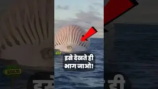 पानी के अंदर मिली अजीब चीजें 4 | Strange Things Found Underwater | Fact Hindi