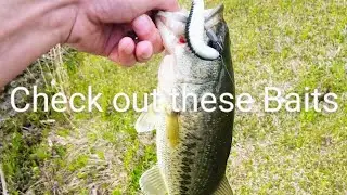 Let's Look At Some New Lures!