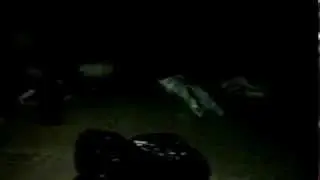 Kilimli myo hopalilar