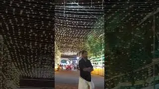 church feast# beautiful illumination #Kerala church#India # Festival time #Fusion music