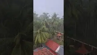 beauty of rain