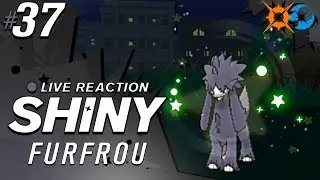 MY LONGEST SOS YET! SHINY FURFROU! 1K+ | Pok&eacute;mon Ultra Sun and Moon Shiny Reaction #37 | CBAD