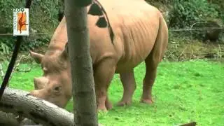 Paignton Zoo near Torquay, Devon