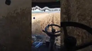 #сельскоехозяйство  #жон дир