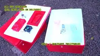 99 egg Damaru INCUBATOR | ഇൻക്യൂബേറ്റർ 7012750183 Cash on delivery in Tirurangadi Malappuram
