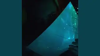 Dark Trap