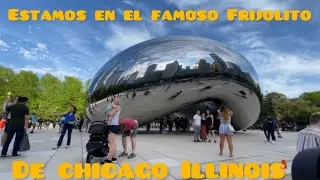 Chicago. Mira como es el famoso Frijolito de Chicago Illinois