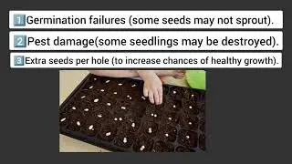 PLANT POPULATION AND SEED RATES