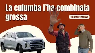 La culumba l'ha combinata grossa