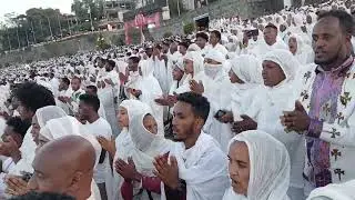 አማን በአማን Aman Beamn