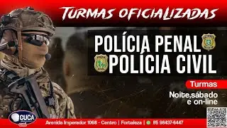 DIREITO HUMANOS  - PP E PCCE - PROF.  ALANE BELFORT